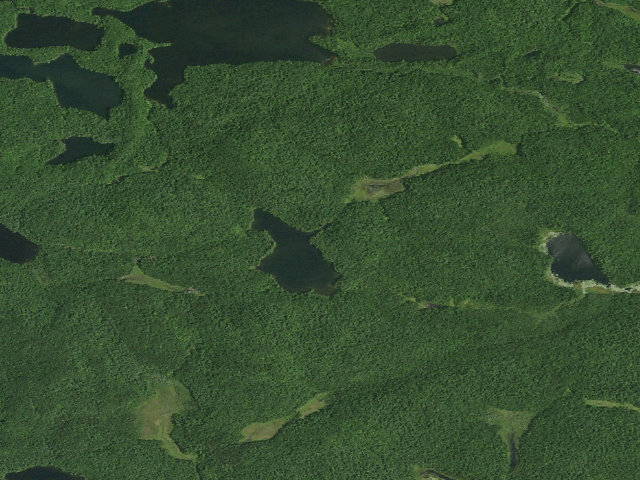 Aerial image of Clamshell Pond Campsite (Saint Regis Canoe Area)