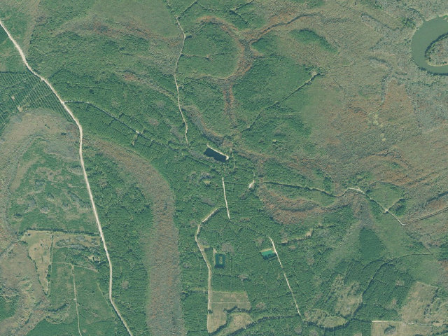Aerial image of Clayhole Swamp WMA - Check Station Camp