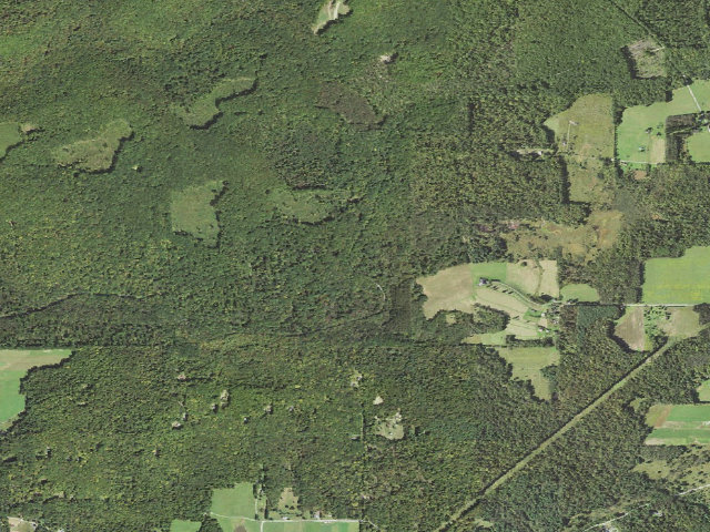 Aerial image of Clear Creek State Forest roadside campsite 001 Clear Run 1