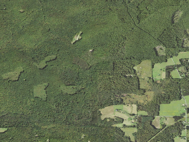 Aerial image of Clear Creek State Forest roadside campsite 002 Clear Run 2