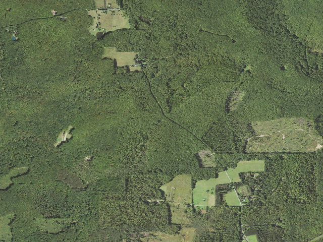 Aerial image of Clear Creek State Forest roadside campsite 003 Fire Tower
