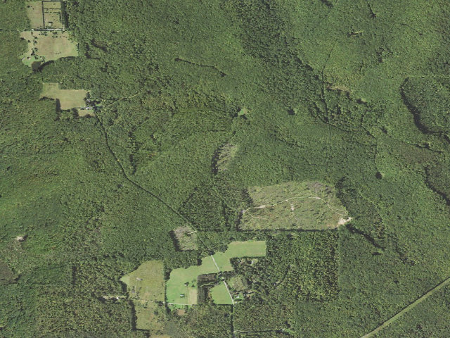 Aerial image of Clear Creek State Forest roadside campsite 004 McNeil  Station