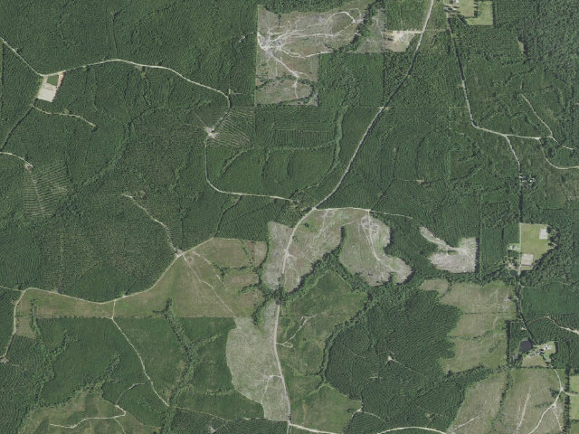 Aerial image of Clear Creek WMA primitive camping area 1