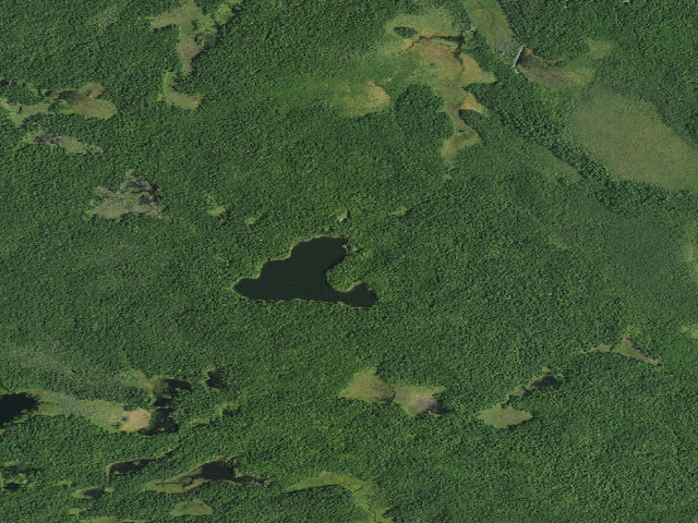 Aerial image of Clear Pond Campsite 2 [DEC #11406] (White Hill Wild Forest)