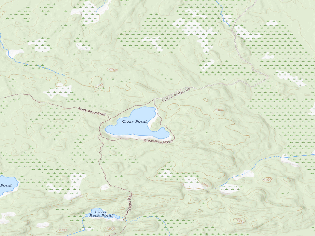 USGS topographic map of Clear Pond Campsite 2 [DEC #11406] (White Hill Wild Forest)