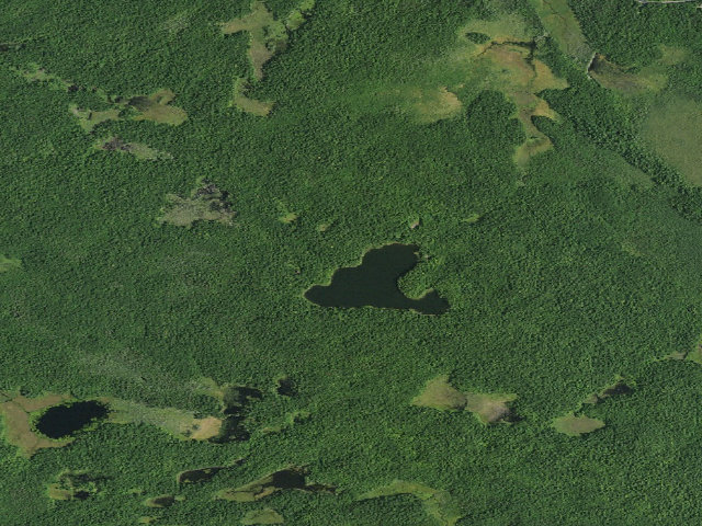 Aerial image of Clear Pond Campsite 3 [DEC #11402] (White Hill Wild Forest)