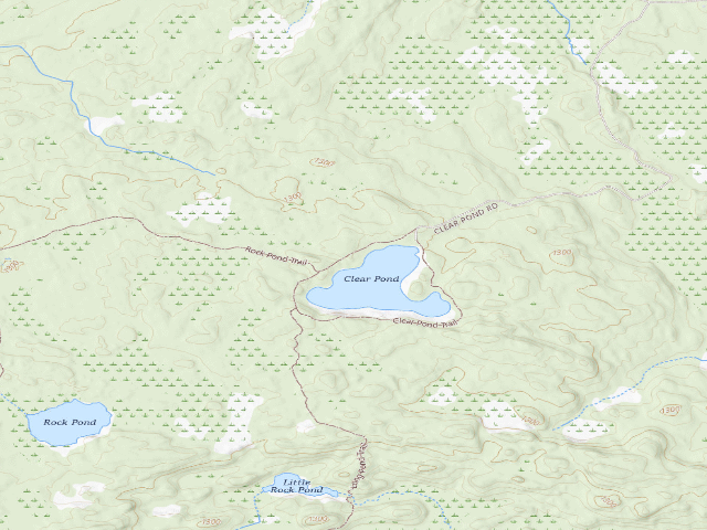 USGS topographic map of Clear Pond Campsite 3 [DEC #11402] (White Hill Wild Forest)
