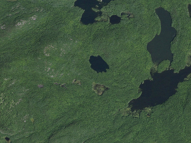 Aerial image of CLEAR POND PRIMITIVE TENT SITE (Pharaoh Lake Wilderness)