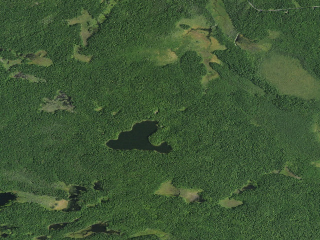 Aerial image of Clear Pond Universally Accessible Campsite [DEC #11564] (White Hill Wild Forest)
