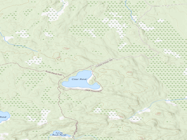 USGS topographic map of Clear Pond Universally Accessible Campsite [DEC #11564] (White Hill Wild Forest)