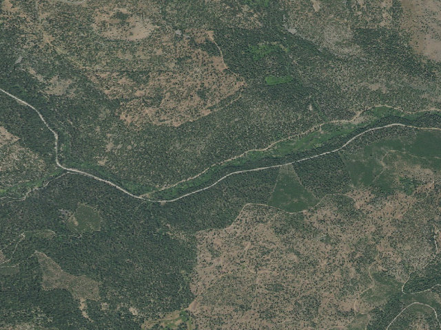 Aerial image of Clear Springs Forest Camp