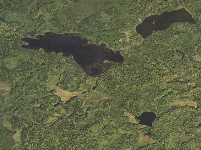 Aerial image of Cloquet Lake Site 1