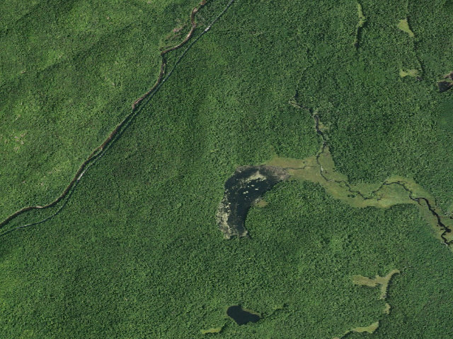 Aerial image of Cod Pond Trail Campsite (Wilcox Lake Wild Forest)