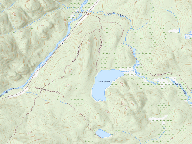 USGS topographic map of Cod Pond Trail Campsite (Wilcox Lake Wild Forest)