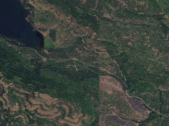 Aerial image of Cold Springs