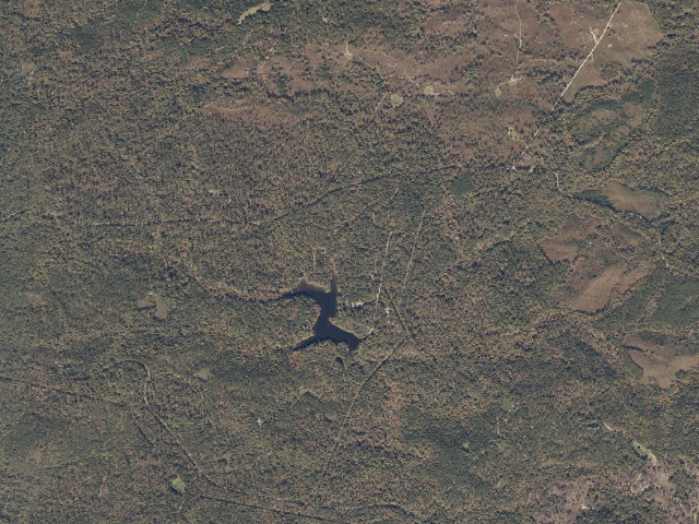 Aerial image of Coleman Lake Recreation Area