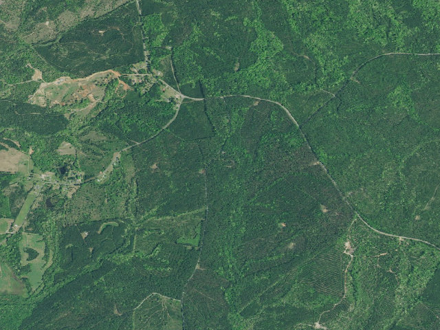 Aerial image of Collins Creek