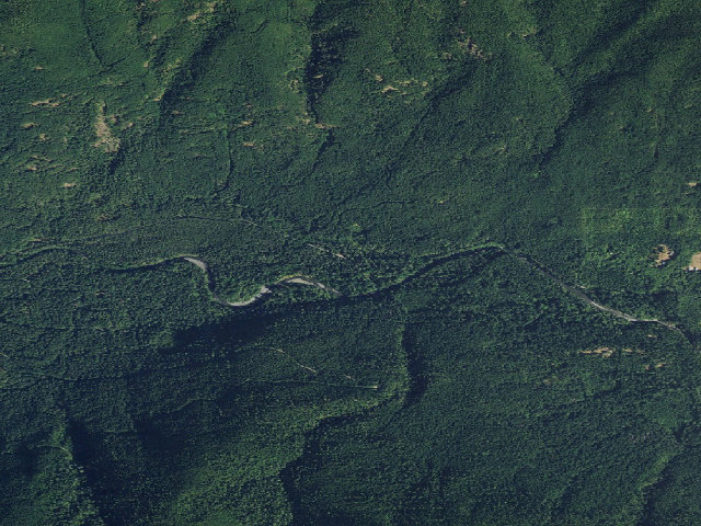 Aerial image of Collins