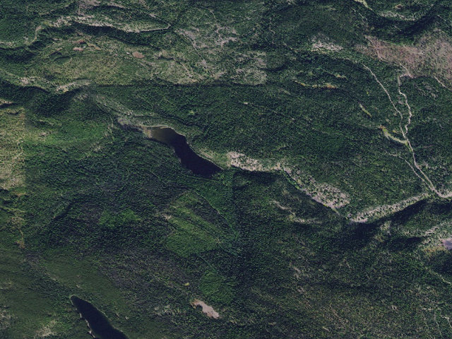 Aerial image of Colt Creek 04
