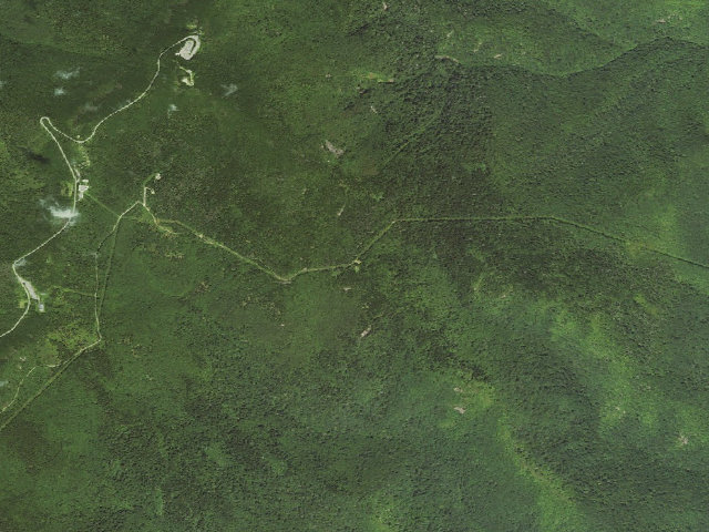 Aerial image of Commissary Hill Backcountry Campsite