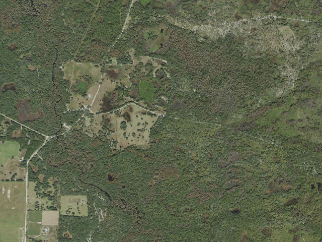 Aerial image of Compressco 1 (Green Swamp Wilderness Preserve - West Tract)
