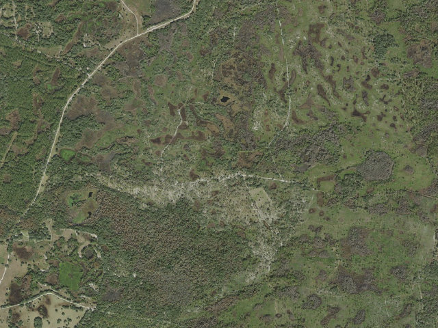 Aerial image of Concession Stand (Green Swamp Wilderness Preserve - West Tract)