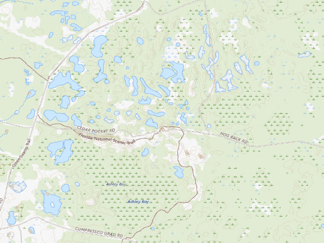 USGS topographic map of Concession Stand (Green Swamp Wilderness Preserve - West Tract)