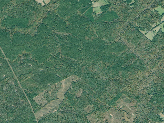 Aerial image of Concord Campground
