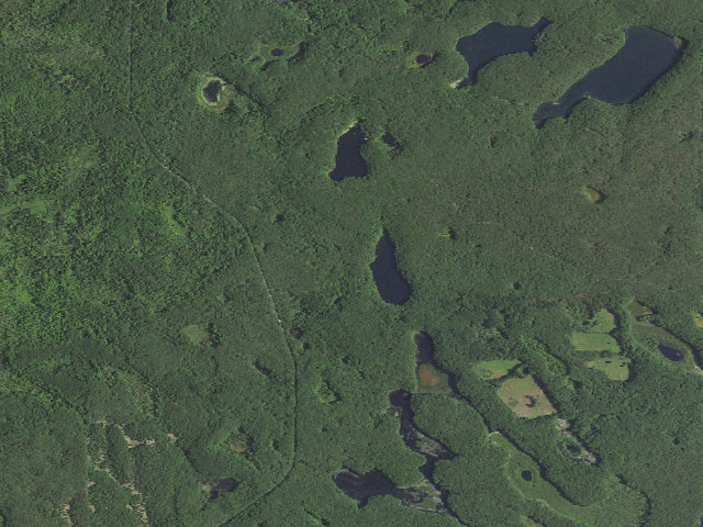 Aerial image of Condon Lakes West