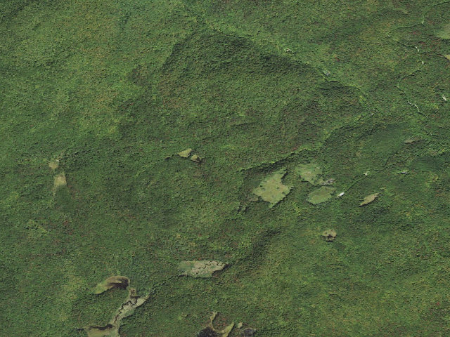 Aerial image of Congdon Shelter