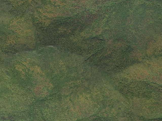Aerial image of Cooley Glen Shelter