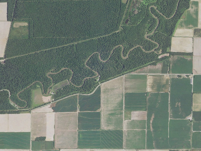 Aerial image of Coon Island Conservation Area