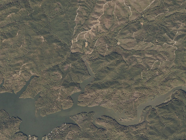 Aerial image of Coosa WMA primitive campsite 1 (Coosa WMA hiking trail)