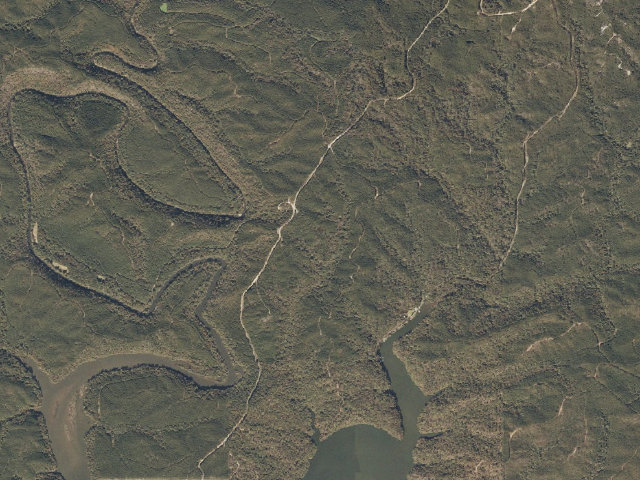 Aerial image of Coosa WMA primitive campsite 2 (Coosa WMA hiking trail)