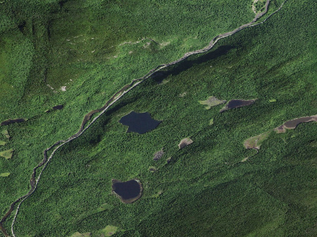 Aerial image of Copperas Pond Site #1 [DEC #4782] (Sentinel Range Wilderness)