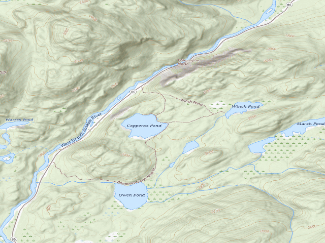 USGS topographic map of Copperas Pond Site #1 [DEC #4782] (Sentinel Range Wilderness)