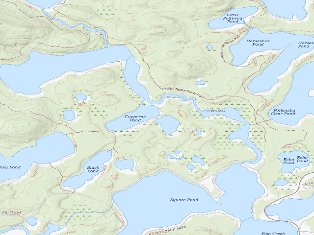 USGS topographic map of Copperas Pond Site 1 (Saranac Lakes Wild Forest)