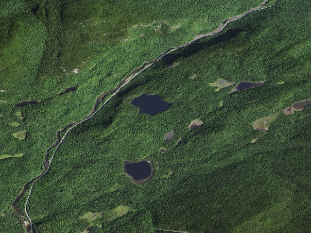 Aerial image of Copperas Pond Site #2 [DEC #4781] (Sentinel Range Wilderness)