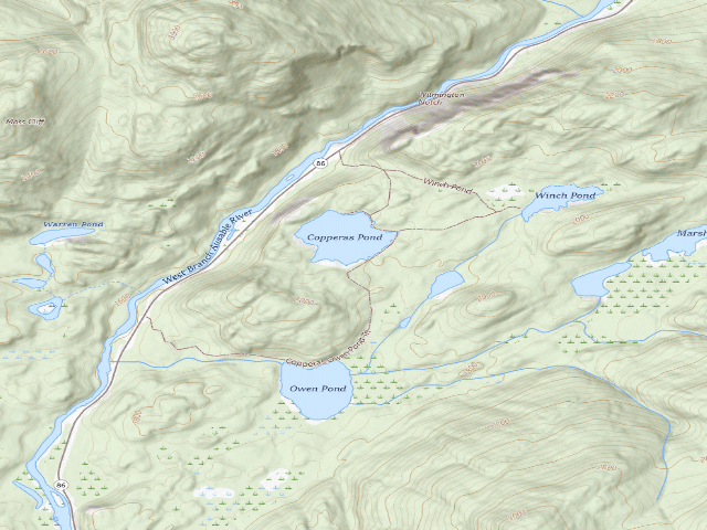USGS topographic map of Copperas Pond Site #2 [DEC #4781] (Sentinel Range Wilderness)