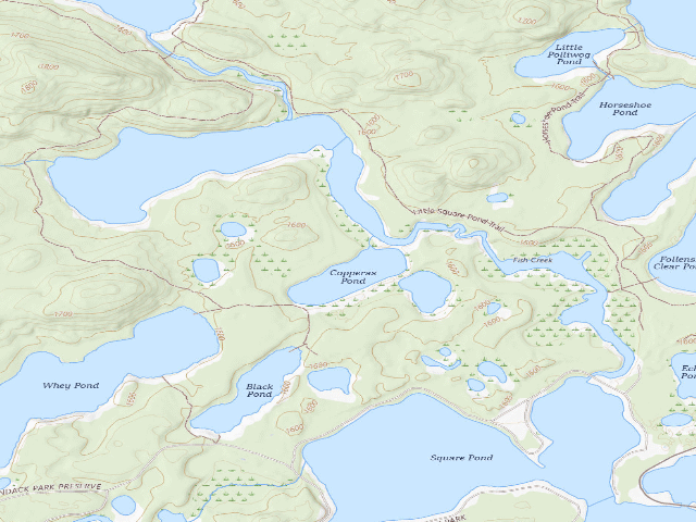 USGS topographic map of Copperas Pond Site 2 (Saranac Lakes Wild Forest)