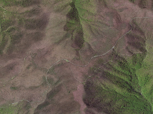 Aerial image of Cornelius Creek A.T. Shelter