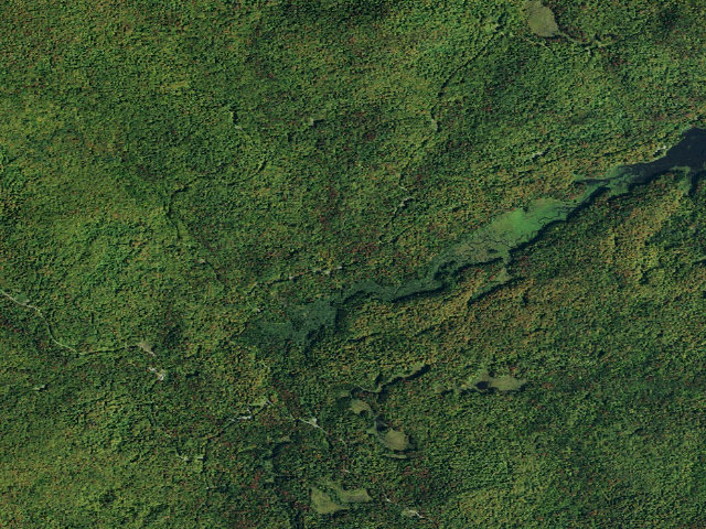 Aerial image of Cornell Road Roadside Tentsite [DEC #3612] (Blue Mountain Wild Forest)