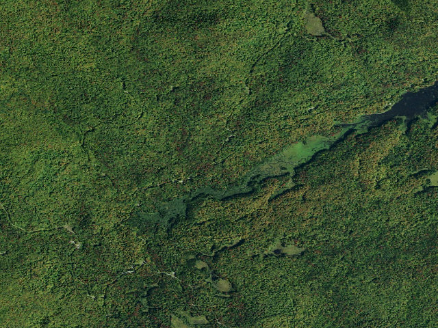 Aerial image of Cornell Road Roadside Tentsite [DEC #3613] (Blue Mountain Wild Forest)