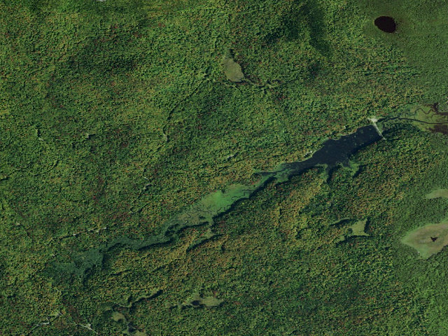 Aerial image of Cornell Road Roadside Tentsite [DEC #3614] (Blue Mountain Wild Forest)