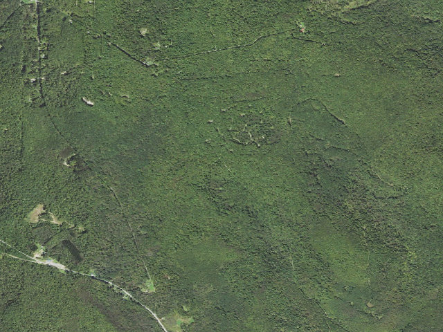 Aerial image of Cornplanter State Forest roadside campsite 001 Cornplanter