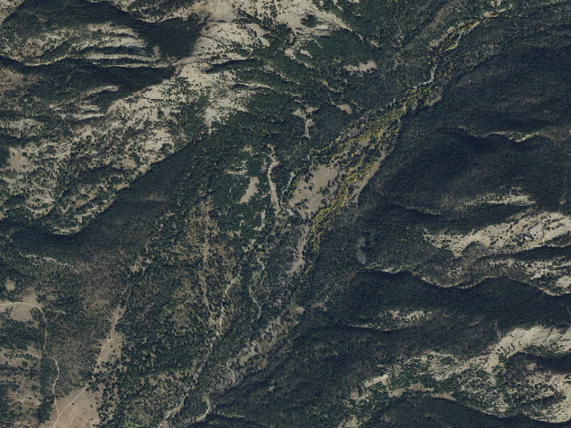 Aerial image of Cottonwood03