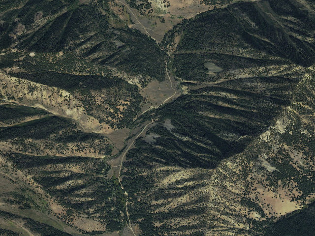 Aerial image of Cougar Cg