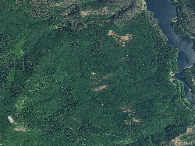 Aerial image of Cougar dispersed camping