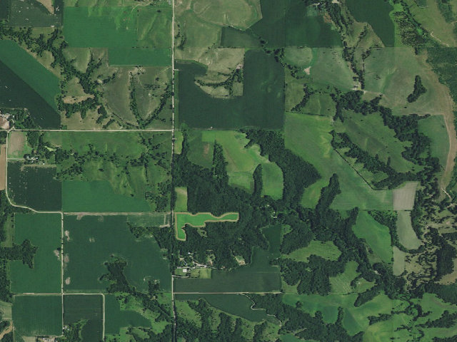 Aerial image of Council Creek WMA
