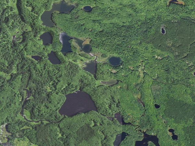 Aerial image of Council Lake Camping Area